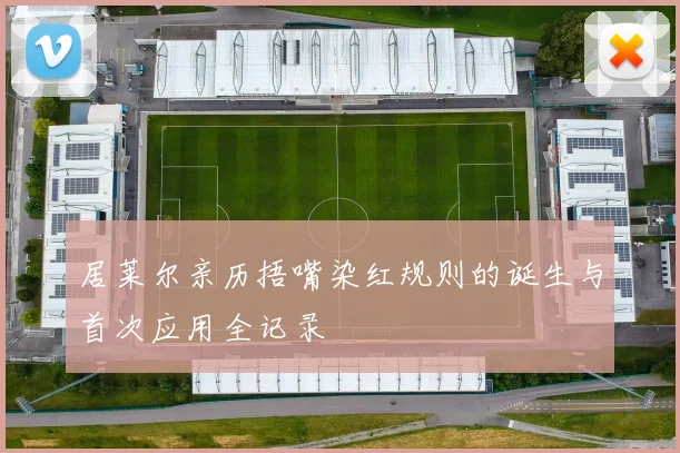 居莱尔亲历捂嘴染红规则的诞生与首次应用全记录